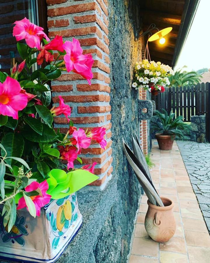 Il Tiglio Apartment Viagrande Luaran gambar
